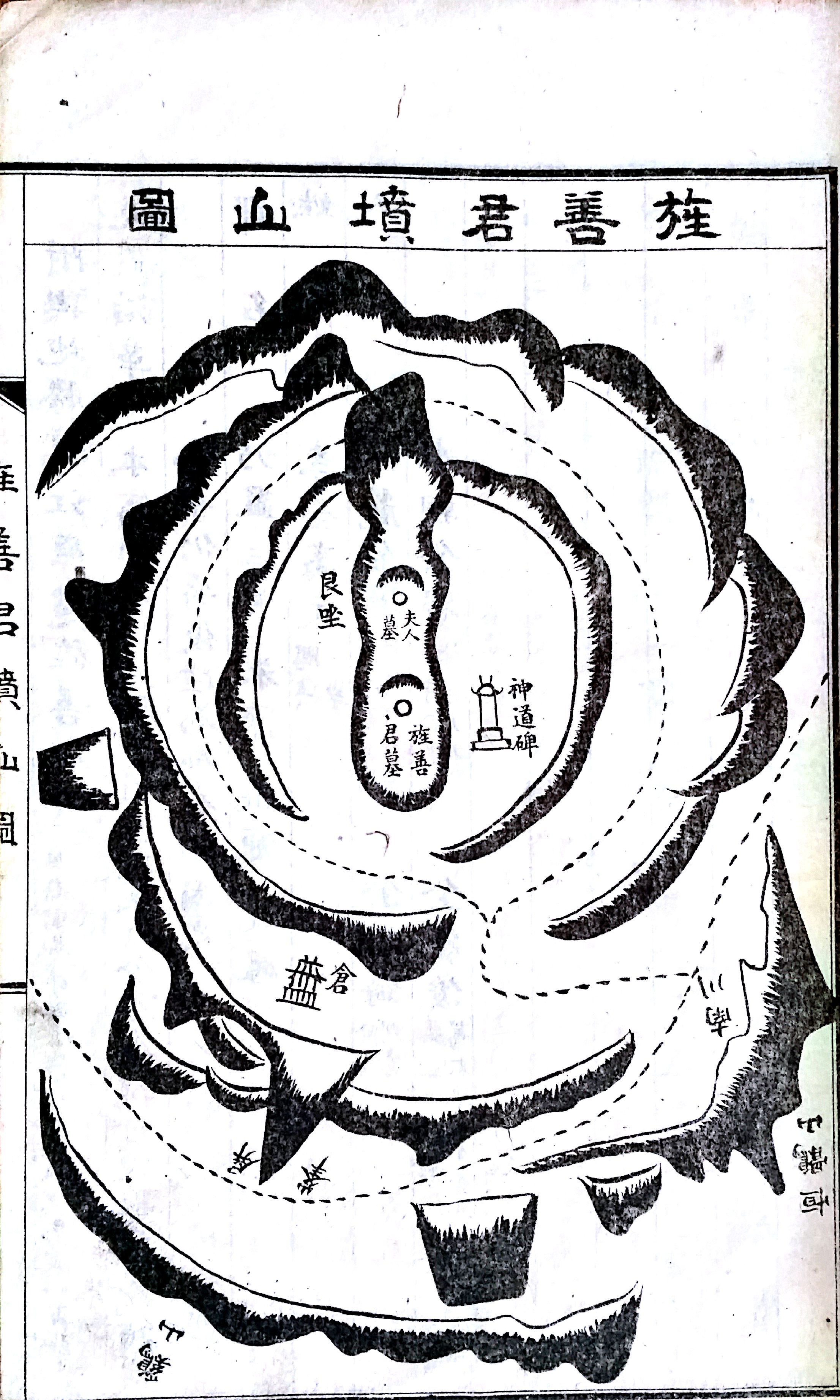 旌善君墳山圖